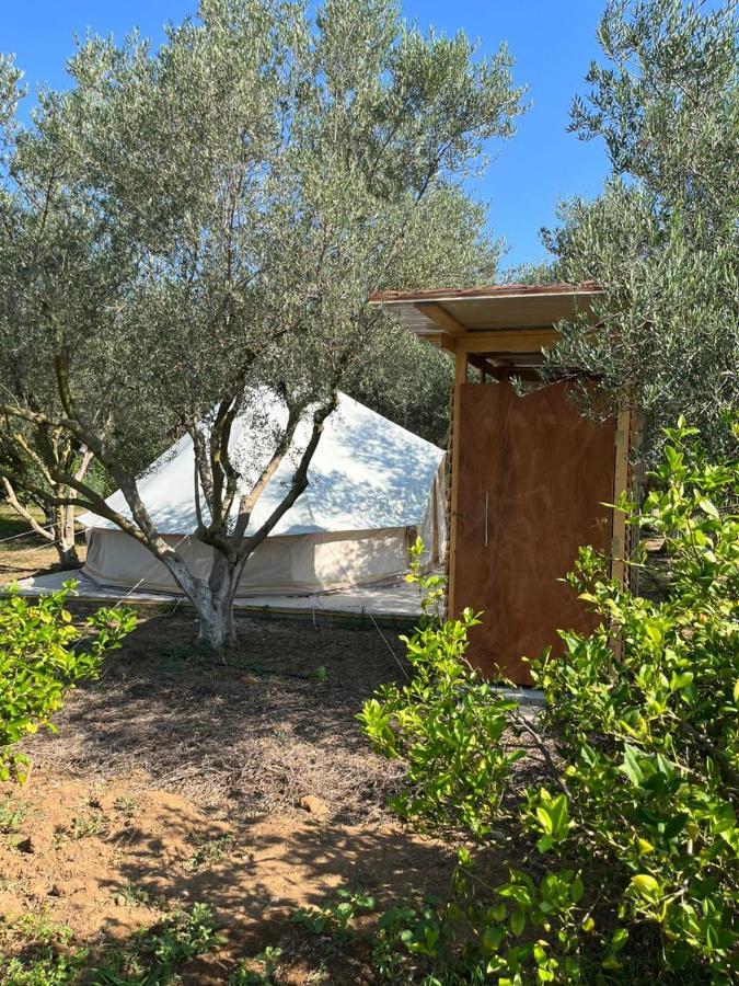 Eco Glamping With Pool Between Nafplio And Аргос Экстерьер фото