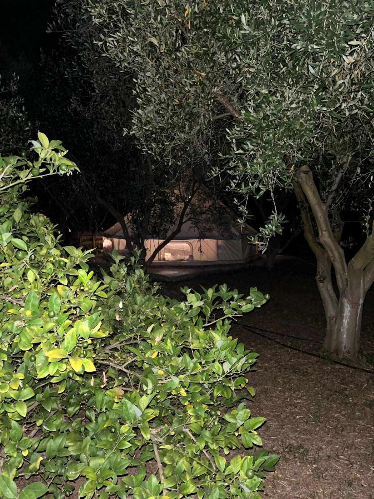 Eco Glamping With Pool Between Nafplio And Аргос Экстерьер фото